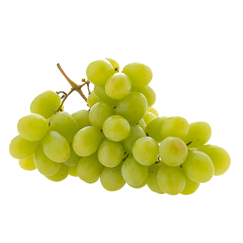 Uvas Use
