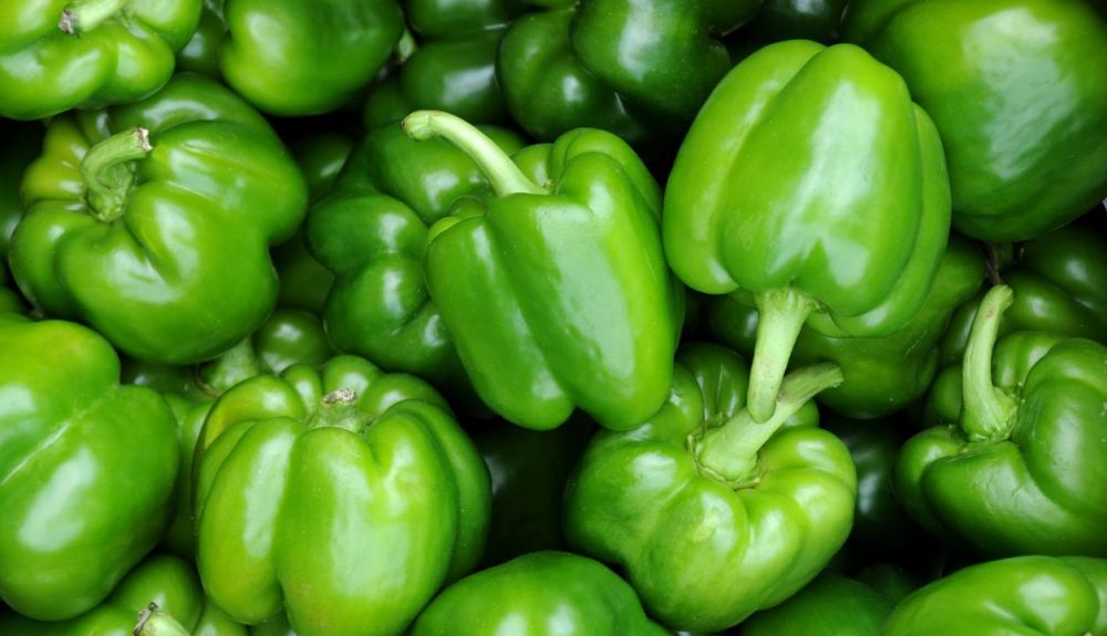 Pimiento verde fortalece la memoria y mejora la circulación
