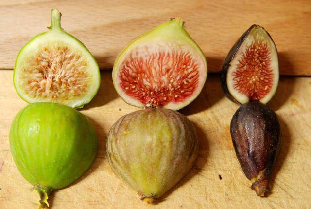 Beneficios de los higos, la fruta de los filósofos